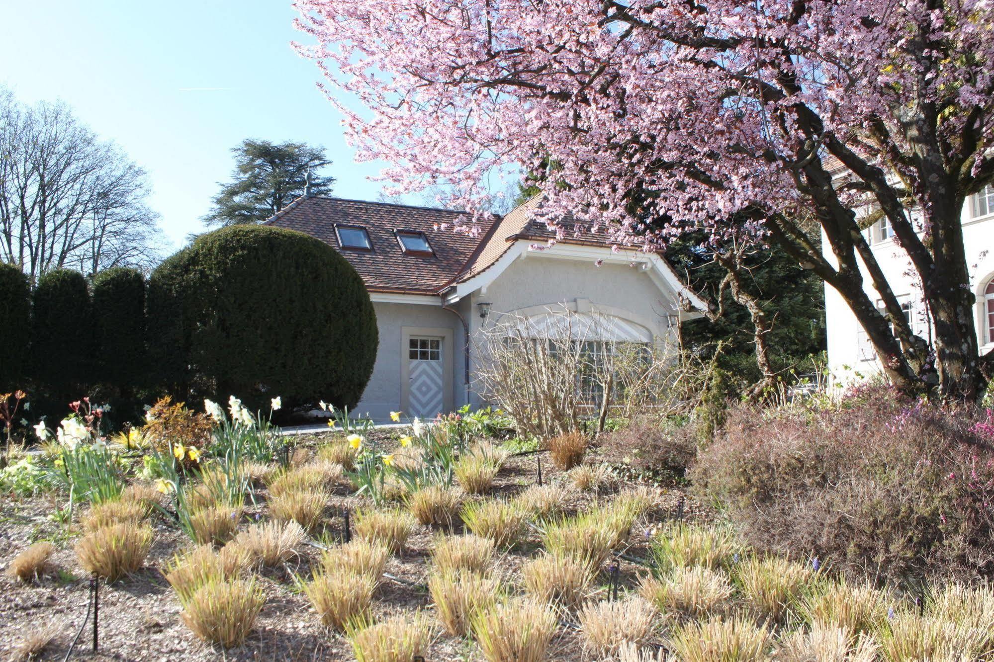 Le Jour Et La Nuit Bed & Breakfast Geneva Exterior photo